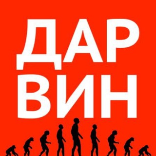 Логотип телеграм канала @pandabande — ДАРВИН