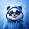 Логотип телеграм канала @pandaexamen — PANDAEXAM | ОТВЕТЫ ВСОШ 2026-2027