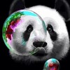 Логотип телеграм канала @pandalabb — PandaLab