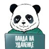 Логотип телеграм канала @pandanaudalenke — Панда на удаленке | вакансии | фриланс
