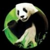 Логотип телеграм канала @pandarueee — PANDA.USSUR Блюхера 51 тел 89147110530 режим работы с 9.30 до 19.00 в воскресенье выходной