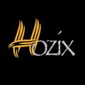 Logo saluran telegram panelhozix — Hozix.xyz