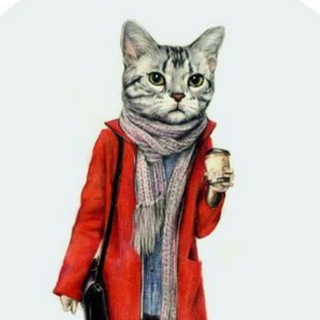 Логотип телеграм канала @panicotta — Модная пани Котта