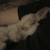 Логотип телеграм канала @panika_eisler01 — норка эйсы🥥