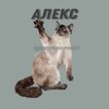Логотип телеграм канала @pank_alex — Алекс| черти творческого омута