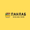 Логотип телеграм канала @panlab59 — ПАНЛАБ (ФО БО | БАО | ТОМ ЯМ)