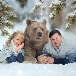 Logo of telegram channel panteleenko_sv — Stepan🐻Savva🐻TheBear