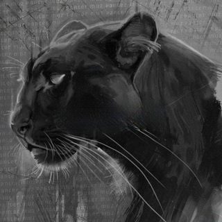 Логотип телеграм канала @pantera_one — Pantera muz 🥀