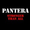 Логотип телеграм канала @panterafhpm — PANTERA