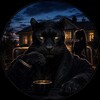 Логотип телеграм канала @panteri_abakana — Абаканские | Пантеры