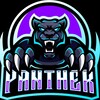 Логотип телеграм канала @panters2023 — FC «ПАНТЕРЫ»