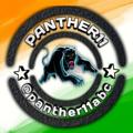 Logo of telegram channel panther11abc — PANTHER11