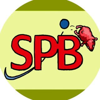 Логотип телеграм канала @pantini_spbex_news — Pantini SPBEX News