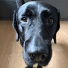 Логотип телеграм канала @paoqp7 — www.paoqp7.Hub