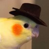 Логотип телеграм канала @papoogi — Попуги :>