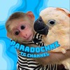 Логотип телеграм канала @paradachni_bibizan — 🐵 парядачний бибизян 🐵