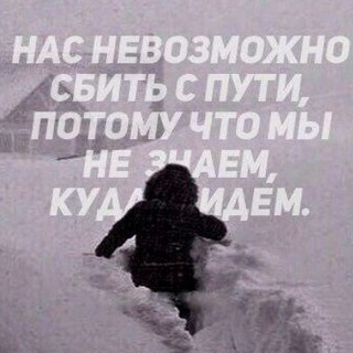 Логотип телеграм канала @paranoidmate — Paranoid Android