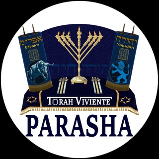 Telegram channel PARASHOT TORA VIVIENTE logo