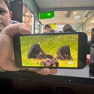 Логотип телеграм канала @pardar_msk — PD резерв