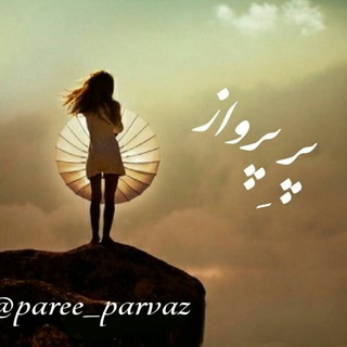 Logo saluran telegram paree_parvaz — پر پرواز