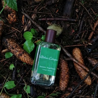 Логотип телеграм канала @parflusterconsumer — Парфлюбитель/Потребитель