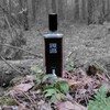 Логотип телеграм канала @parfumernoe_puteshestvie — ~ Моё парфюмерное путешествие ~