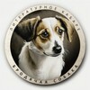 Логотип телеграм канала @pariah_dog_cabaret — Бродячая собака | Литература