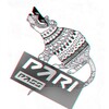 Логотип телеграм канала @paripasss — Pari Pass коды Пари Пасс