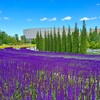 Логотип телеграм канала @park_galitskogo_gid — Парк Галицкого. С гидом