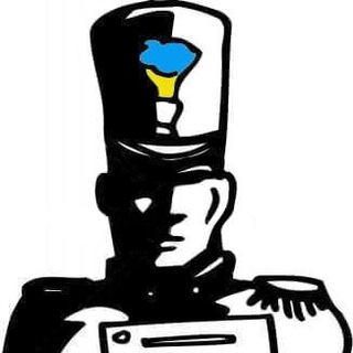 Логотип телеграм канала @parldir — Директор Парламента 🇺🇦