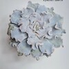 Логотип телеграм канала @parlimiel — SucculenDi