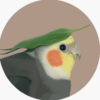 Логотип телеграм канала @parrots — parrots 🐦🍉
