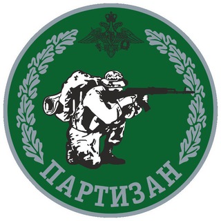Логотип телеграм канала @partizantrening — ПартиZан тренинг.