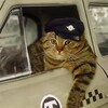 Логотип телеграм канала @partneredayandexrf — яндекс такси через парк