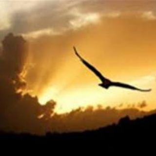 لوگوی کانال تلگرام parvazra — پرواز را