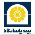 Telegram kanalining logotibi pasargad_life1 — بیمه پاسارگاد