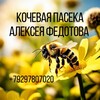Логотип телеграм канала @pasekafedotova2000 — ЭКО пасека Алексея Федотова
