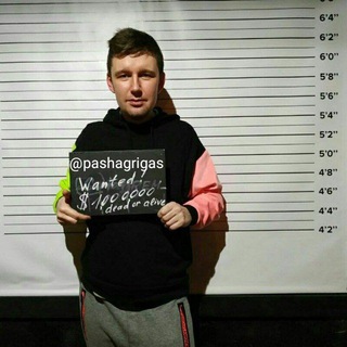 Логотип телеграм канала @pashagrigas — Паша Григас 💡