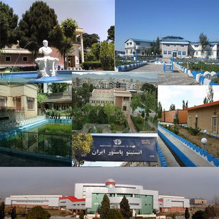 لوگوی کانال تلگرام pasteur_institute_of_iran — انستیتو پاستور ایران
