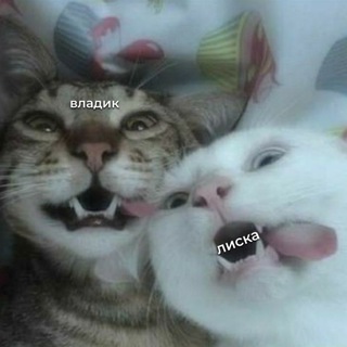 Логотип телеграм канала @pastyxvr — лиска и владик