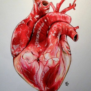 Telegram channel ПАТОЛОГИЯ logo