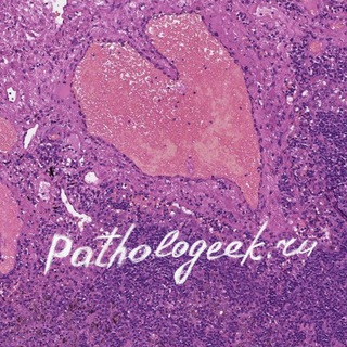 Логотип телеграм канала @pathologeek_ru — Pathologeek
