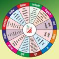 Telegram channel Patil Biotech logo