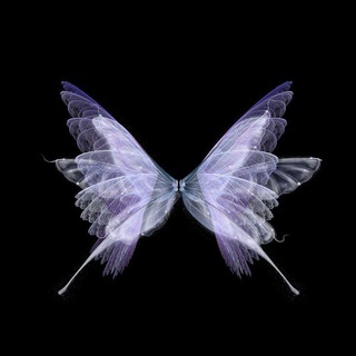 Логотип телеграм канала @paupaupubgm — Pau¹🦋pm