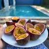 Логотип телеграм канала @pavlenkoproturizm — PROтуризм🌴