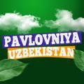 Logo saluran telegram pavloniyaoptom — PAVLOVNIYA. UZBEKISTAN
