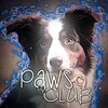 Logo of telegram channel pawsdogschannel — 🐾ᴘᴀᴡs ᴅᴏɢs🐾