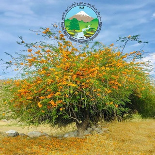 لوگوی کانال تلگرام payametabiatejk — 🌿همیاران طبیعت جنوب کرمان🌿