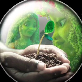 Logo saluran telegram paziresh_life — روانشناسی (پذیرش)