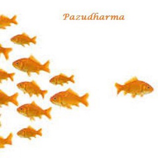 لوگوی کانال تلگرام pazudharma — Pazudharma